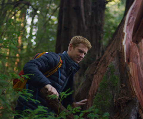 Alex leading a forest bathing session in the Santa Cruz Redwoods
