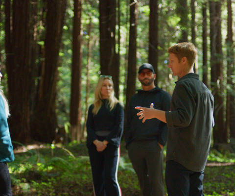 Alex leading a forest bathing session in the Santa Cruz Redwoods