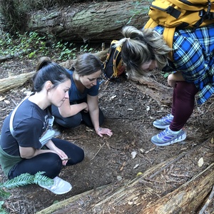 Alex leading a forest bathing session in the Santa Cruz Redwoods