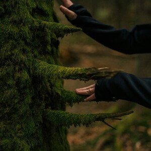 Intimate forest bathing experience