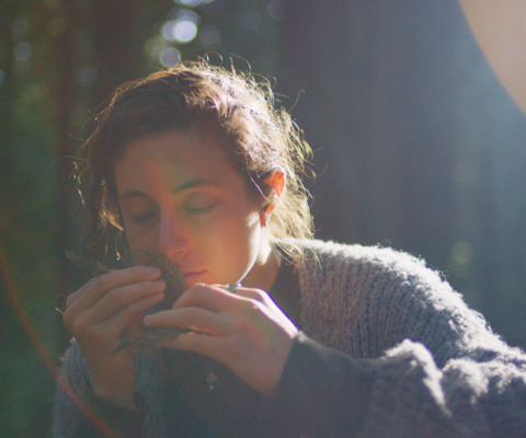 Alex leading a forest bathing session in the Santa Cruz Redwoods