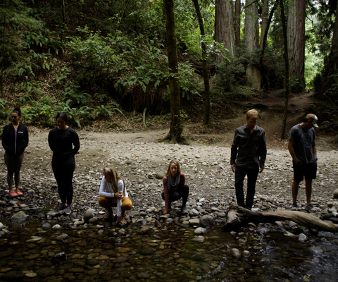 Small group in forest